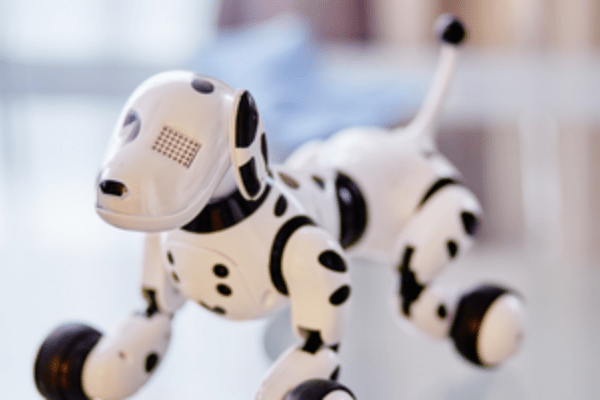 How important is robotics for young students